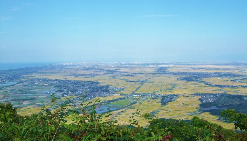 新潟県の絶景スポット「上堰潟公園」