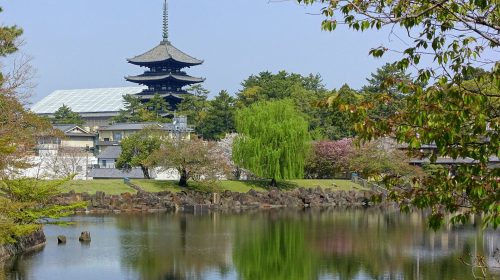 奈良公園の絶景写真