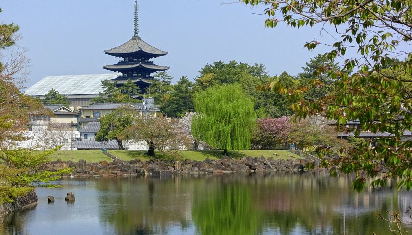 奈良県の絶景スポット「奈良公園」