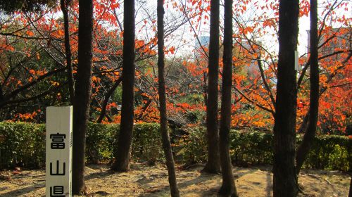 大倉山の絶景写真