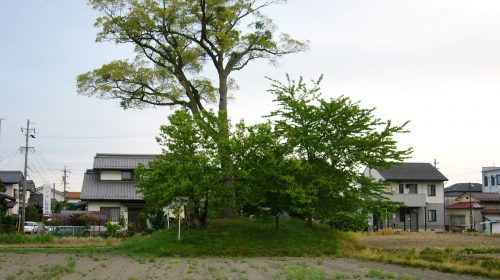 井川館の絶景写真