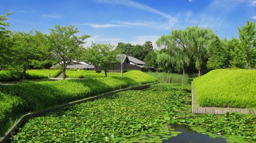 難波田城の絶景写真