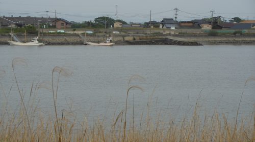 大野島の絶景写真