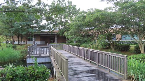 宍道湖自然館ゴビウスの絶景写真