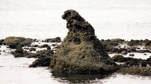 ゴジラ岩の絶景写真