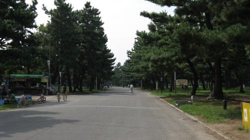 浜寺公園の絶景写真