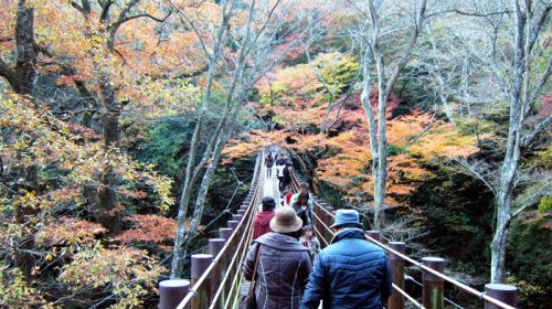 花園花貫県立自然公園の絶景写真