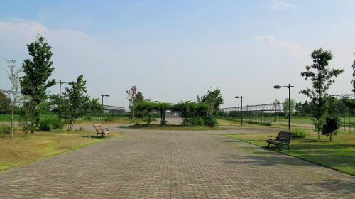 羽生水郷公園の絶景写真
