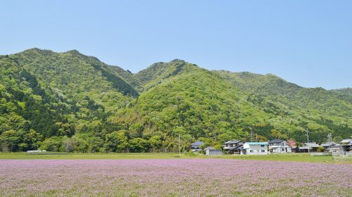 城山城の絶景写真