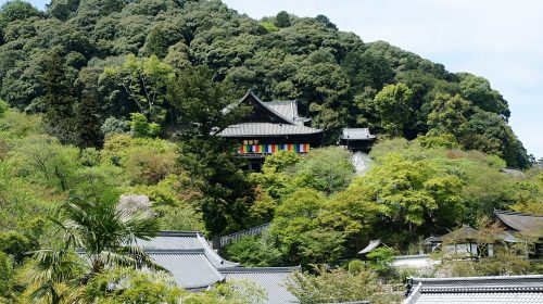 長谷寺の絶景写真