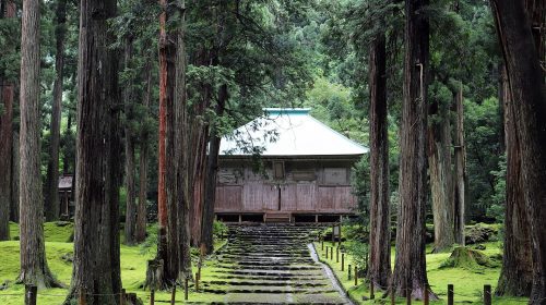 平泉寺白山神社の絶景写真