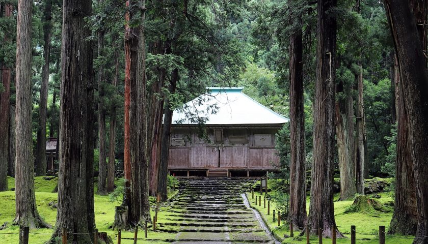 福井県の絶景スポット「平泉寺白山神社」