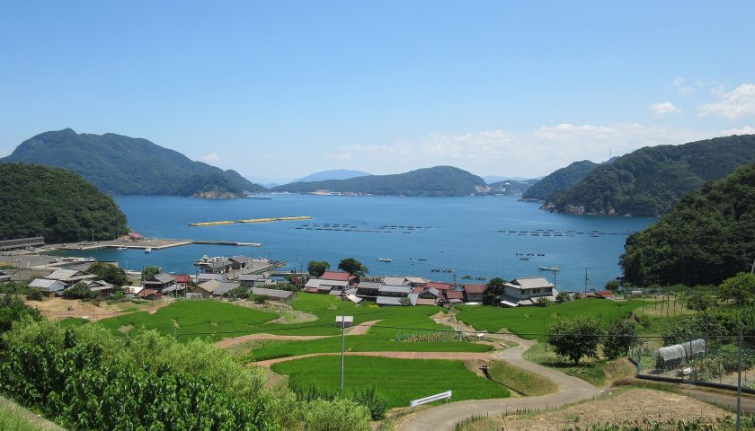 福井県の絶景スポット「日引の棚田」