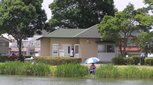 平池公園の絶景写真