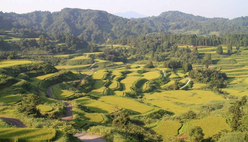 新潟県の絶景スポット「越後松代 星峠の棚田」
