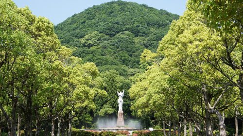 兵庫県立甲山森林公園の絶景写真