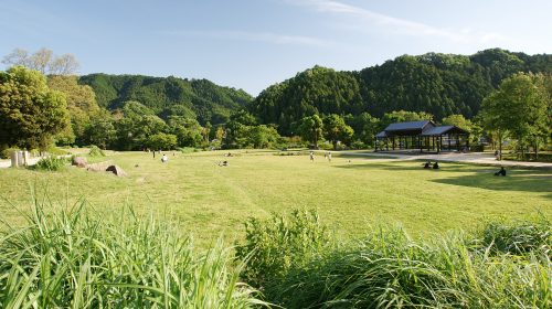 国営飛鳥歴史公園の絶景写真