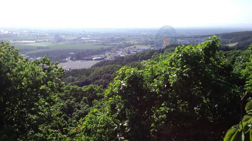 いわみざわ公園の絶景写真