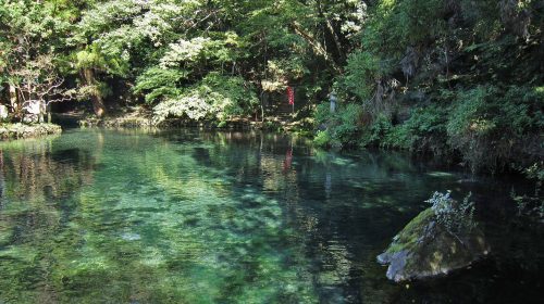 出流原弁天池の絶景写真