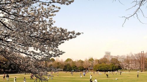 城北中央公園の絶景写真
