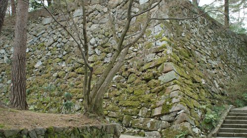 亀山城の絶景写真