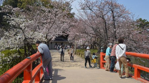 刈谷城の絶景写真