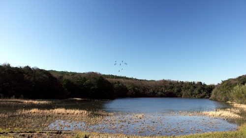 片野鴨池の絶景写真