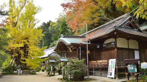葛城一言主神社の絶景写真