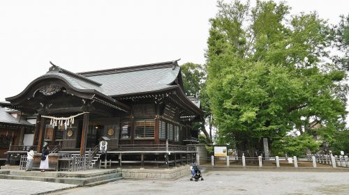 葛飾八幡宮の絶景写真