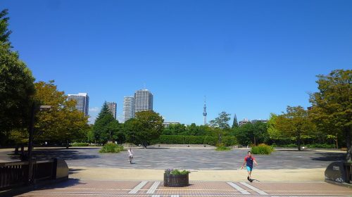 木場公園の絶景写真