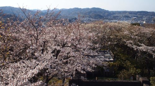 衣笠山公園の絶景写真