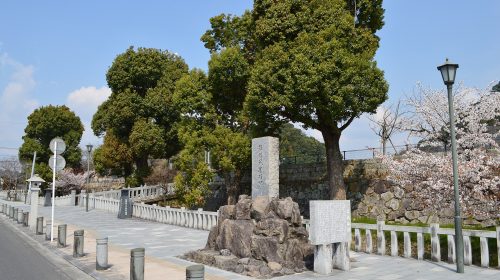 国分城の絶景写真