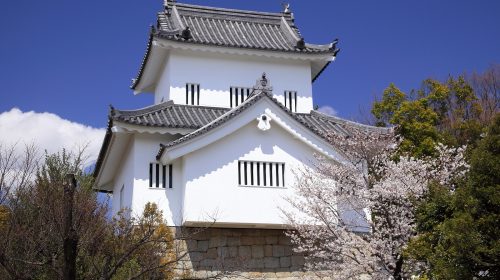 七州城の絶景写真