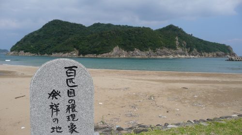 幸島の絶景写真