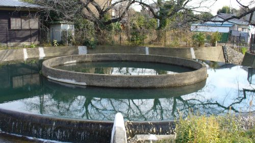 久地円筒分水の絶景写真