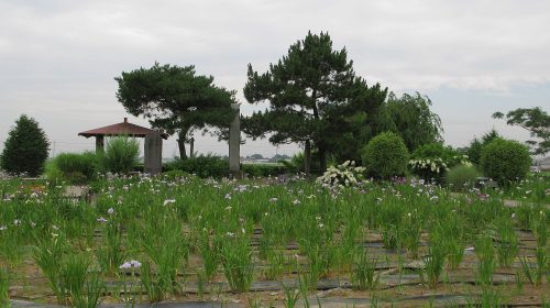 菖蒲城の絶景写真