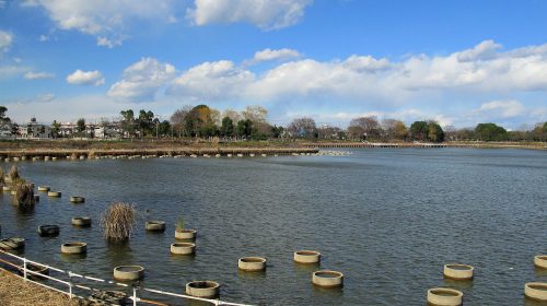 弦代公園の絶景写真