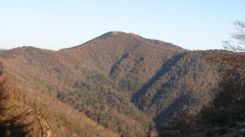 雲取山の絶景写真