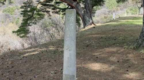 桑原城の絶景写真