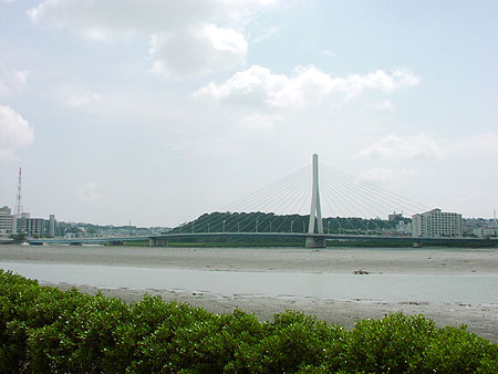 沖縄県の絶景スポット「漫湖」