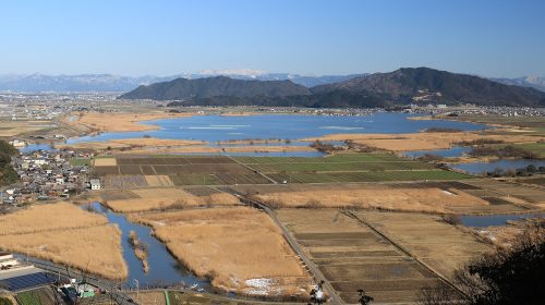 西の湖の絶景写真