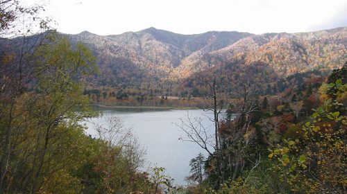 オコタンペ湖の絶景写真