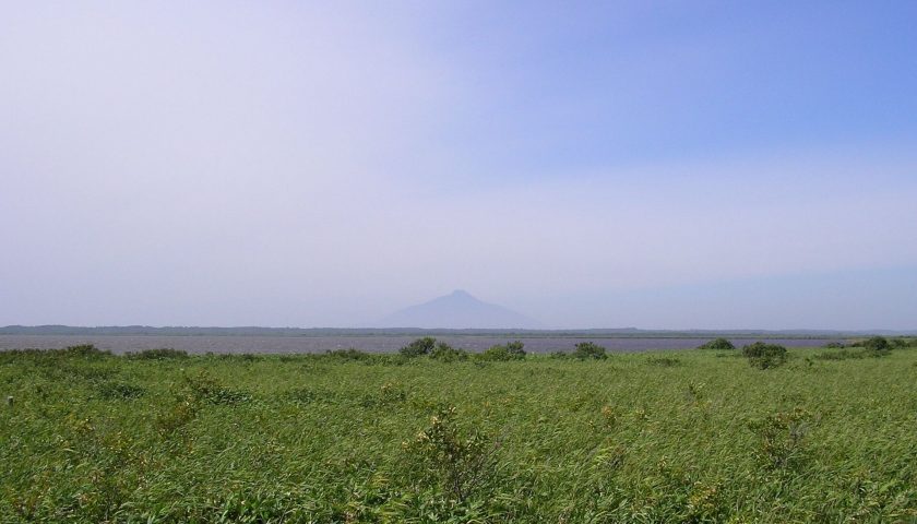 北海道の絶景スポット「サロベツ原野のエゾカンゾウ」
