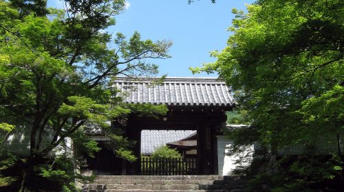 曼殊院の絶景写真