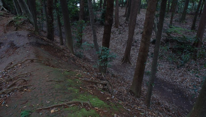 千葉県の絶景スポット「増尾城」