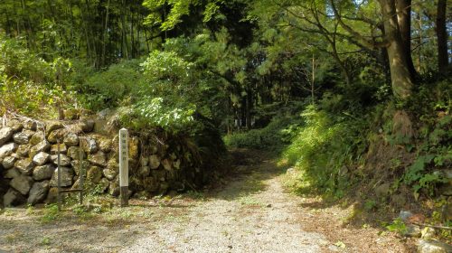 松倉城の絶景写真