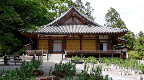 松尾寺 (大和郡山市)の絶景写真