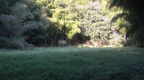 松岡城の絶景写真