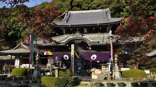 三室戸寺の絶景写真