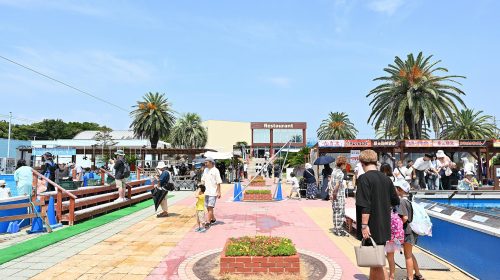南知多ビーチランドの絶景写真